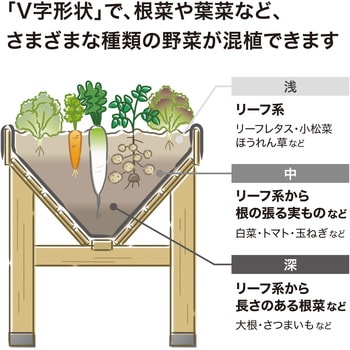 ホームベジトラグ タカショー