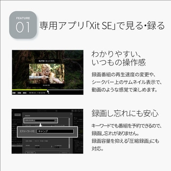 サイト スクエア ピクセラ