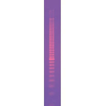DNAサイズスタンダード BIORAD