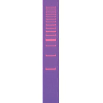 DNAサイズスタンダード BIORAD