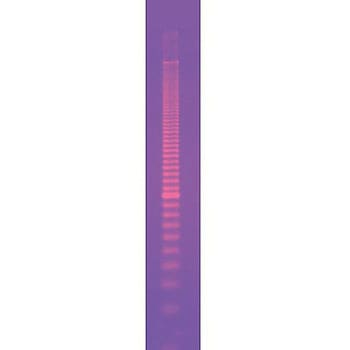 DNAサイズスタンダード BIORAD