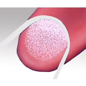 舌ブラシ (携帯ケース付き) ユニロック