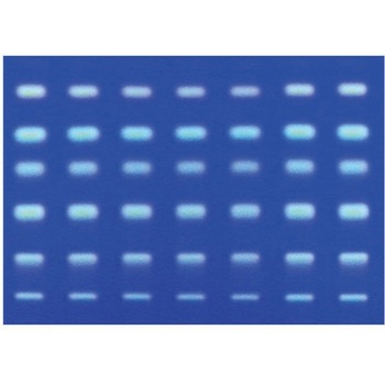 1.05553.0001 ���C��TLC�v���[�g �u���w���� Merck(�����N�~���|�A) 25942657