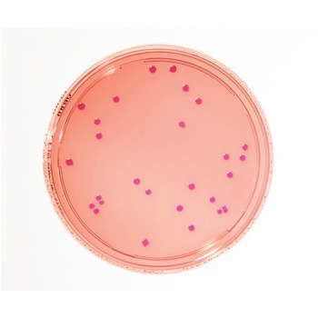 1.46000.0120 ��������������|�n Merck(�����N�~���|�A) 25943323