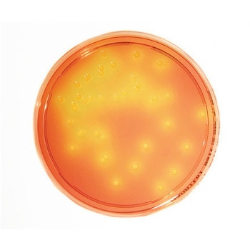 特定微生物試験培地 Merck(メルクミリポア)