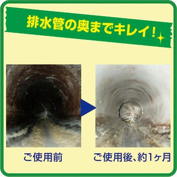 排水管洗浄液 鈴木ラテックス