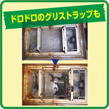 排水管洗浄液 鈴木ラテックス