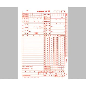 社保カルテ アズワン カルテ用紙 【通販モノタロウ】