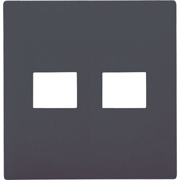 WTL7072H アドバンスSコンセントプレート2コ用 Panasonic(パナソニック) 25999156