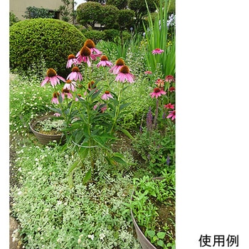 フラワーさん用 ウッドバレルプランター 深型L PPW-02LN 4975149324385