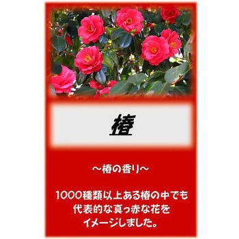 アサヒ入浴剤 10kg アサヒ商会