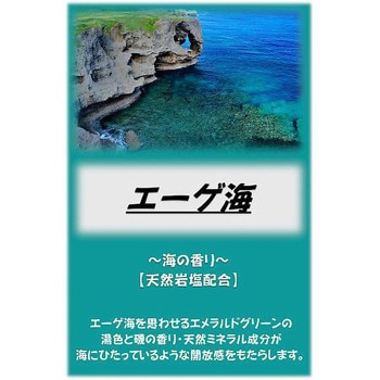 アサヒ入浴剤 10kg アサヒ商会