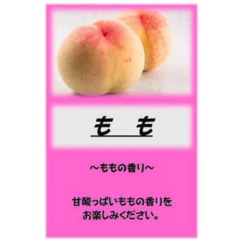 - �A�T�q������ 10kg �A�T�q���� 26004030