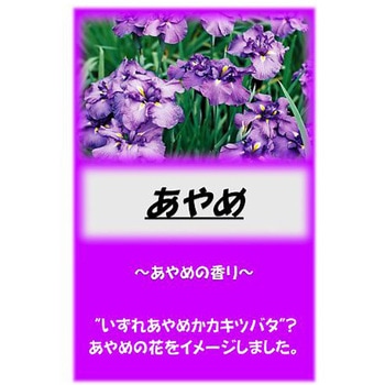 - �A�T�q������ 10kg �A�T�q���� 26004057