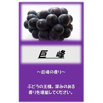 - �A�T�q������ 10kg �A�T�q���� 26004145