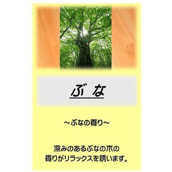 - �A�T�q������ 10kg �A�T�q���� 26004249