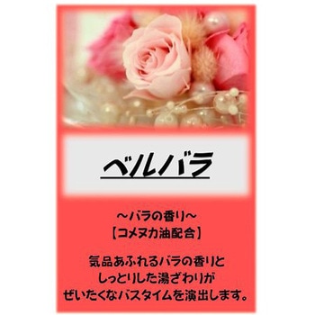 - �A�T�q������ 10kg �A�T�q���� 26004258