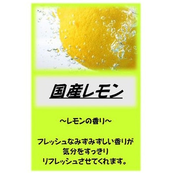 - �A�T�q������ 10kg �A�T�q���� 26004285