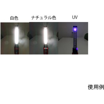 LEDライト エスコ