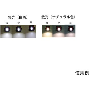 LEDライト エスコ