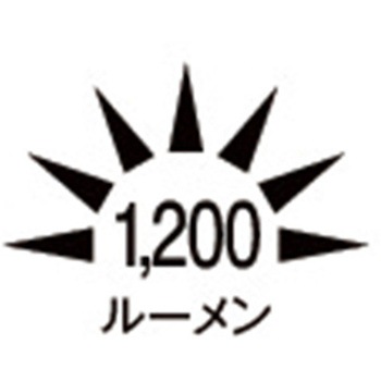 フラッシュライト/LED EA758SBシリーズ エスコ