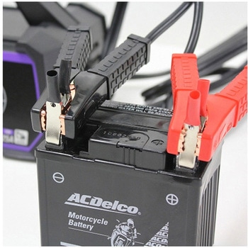 AC100V 自動パルス充電器 EA815YAシリーズ エスコ