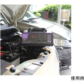 AC100V 自動パルス充電器 EA815YAシリーズ エスコ