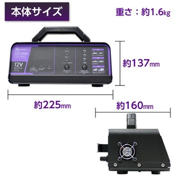 AC100V 自動パルス充電器 EA815YAシリーズ エスコ