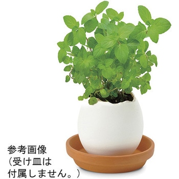 エッグリング EGシリーズ 聖新陶芸