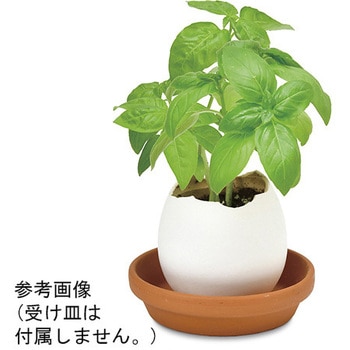 エッグリング EGシリーズ 聖新陶芸