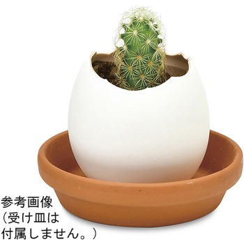 エッグリング EGシリーズ 聖新陶芸