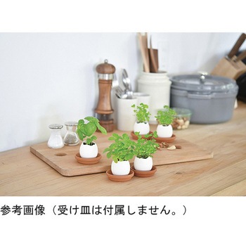 エッグリング EGシリーズ 聖新陶芸