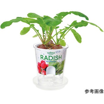フレッシュフィール GDシリーズ 聖新陶芸