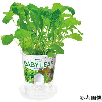 フレッシュフィール GDシリーズ 聖新陶芸