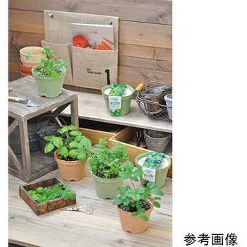 エコット S GDシリーズ 聖新陶芸