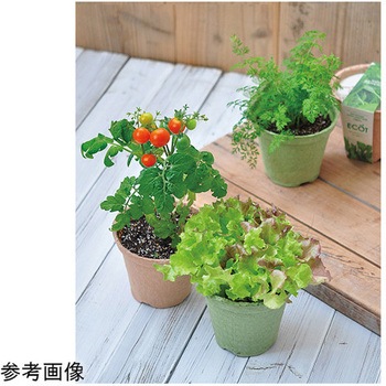 エコット S GDシリーズ 聖新陶芸