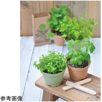 エコット S GDシリーズ 聖新陶芸