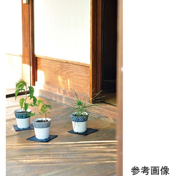 小紋盆栽栽培セット GDシリーズ 聖新陶芸