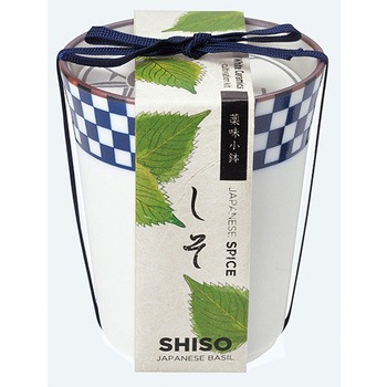 GD-75801 ����򖡏��� GD�V���[�Y ���V���| 26095915