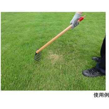 芝生のサッチ取り 小 キンボシ