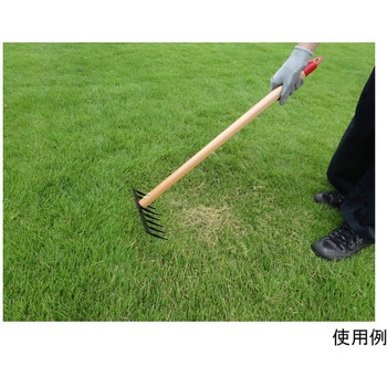 芝生のサッチ取り 小 キンボシ
