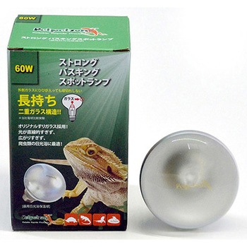 - ����p���p�������ۉ��� �X�g�����O�o�X�L���O�X�|�b�g�����v �A�Y���� 26100097