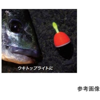 ウミホタル ルミカ
