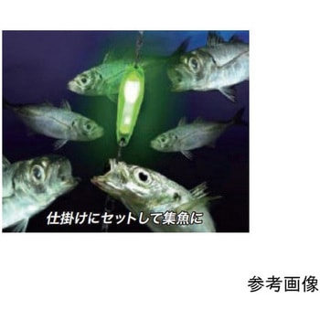ウミホタル ルミカ