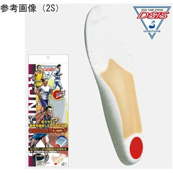 DSISソルボランニング 三進興産