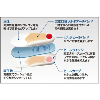 DSISソルボランニング 三進興産