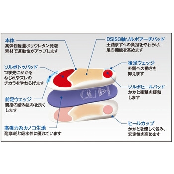 DSISソルボバレーボール 三進興産