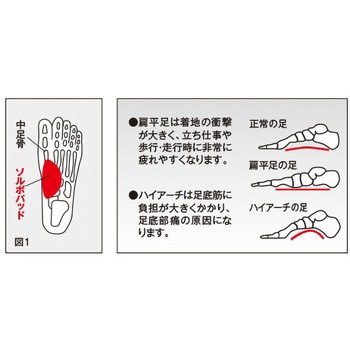 ソルボ シームレスサポーター 三進興産