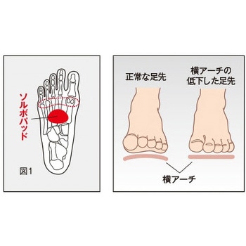 ソルボ シームレスサポーター 三進興産