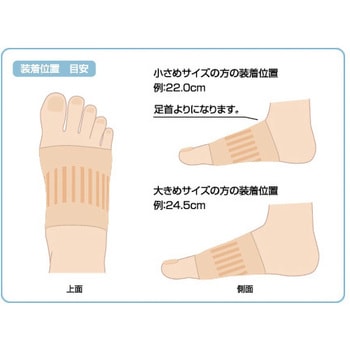 ソルボ シームレスサポーター 三進興産